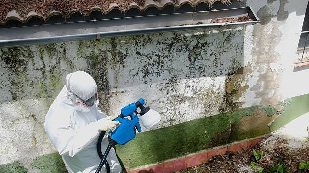 Trusted Commercial Mold Remediation service in Barco, NC - Cheap Mold Removal